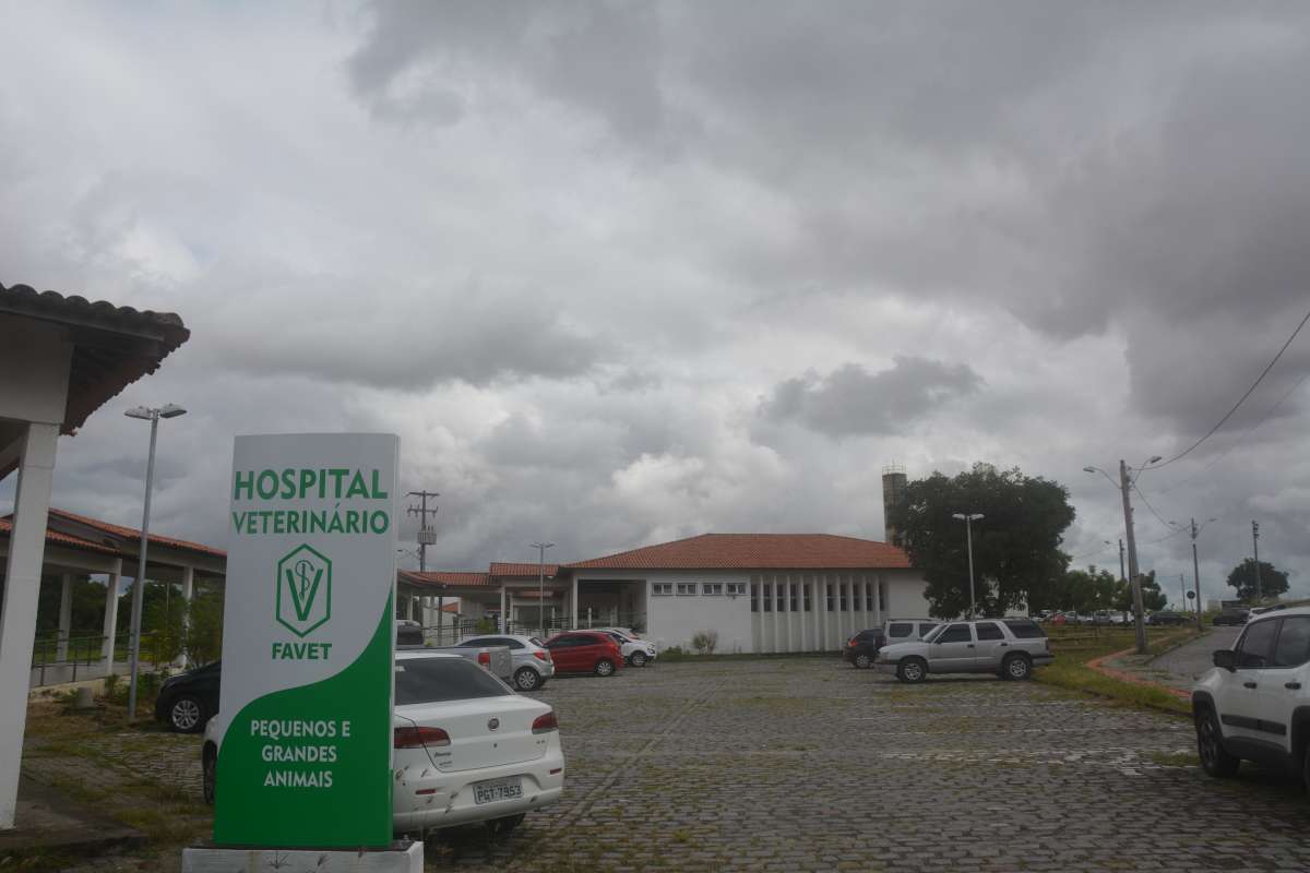 Uece tem maior hospital veterinário do Norte e Nordeste do Brasil